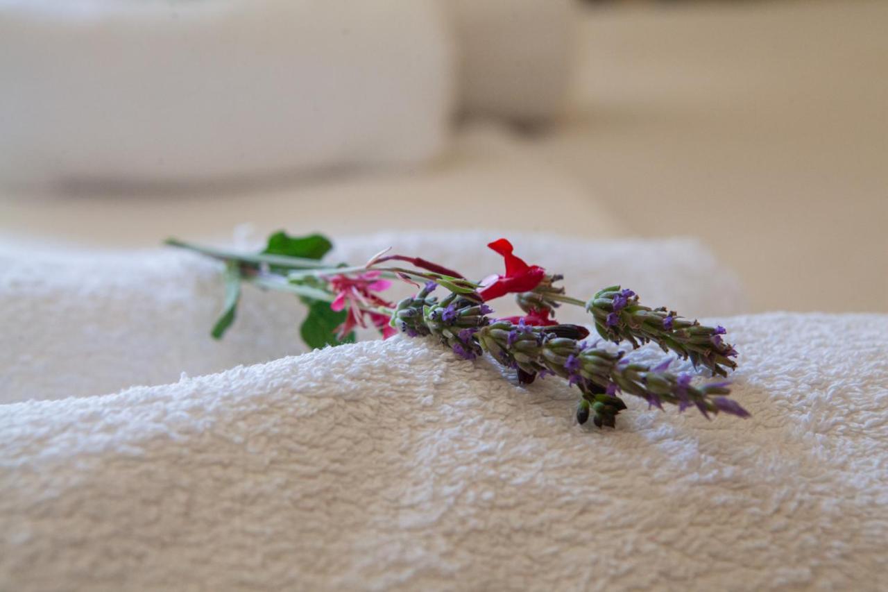Hotel Loula Rooms And Apartments カメナブルナ エクステリア 写真